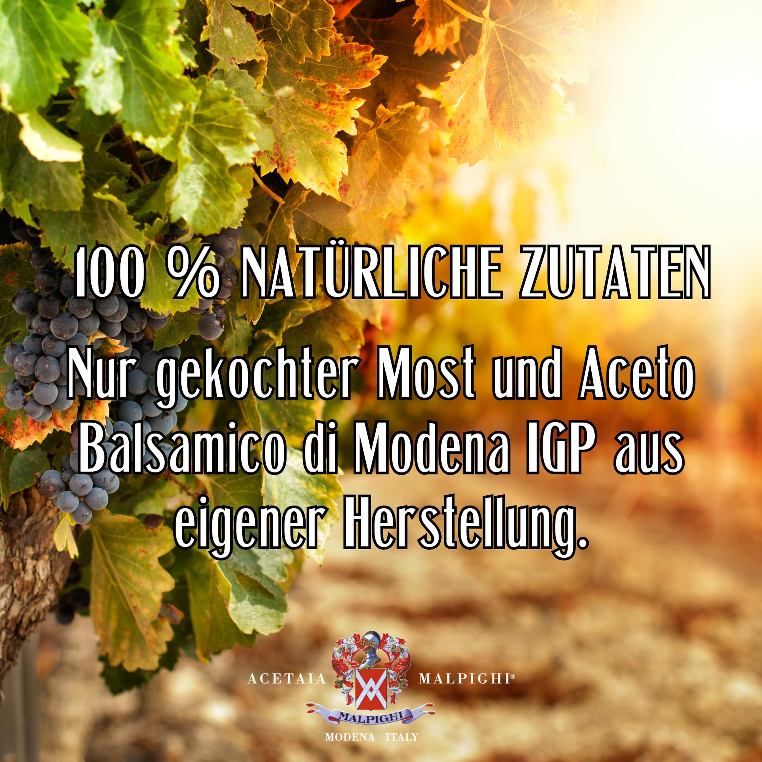 acetaia-malpighi-sigillo-oro-balsamico-dressing-100-ml-8-j image 6