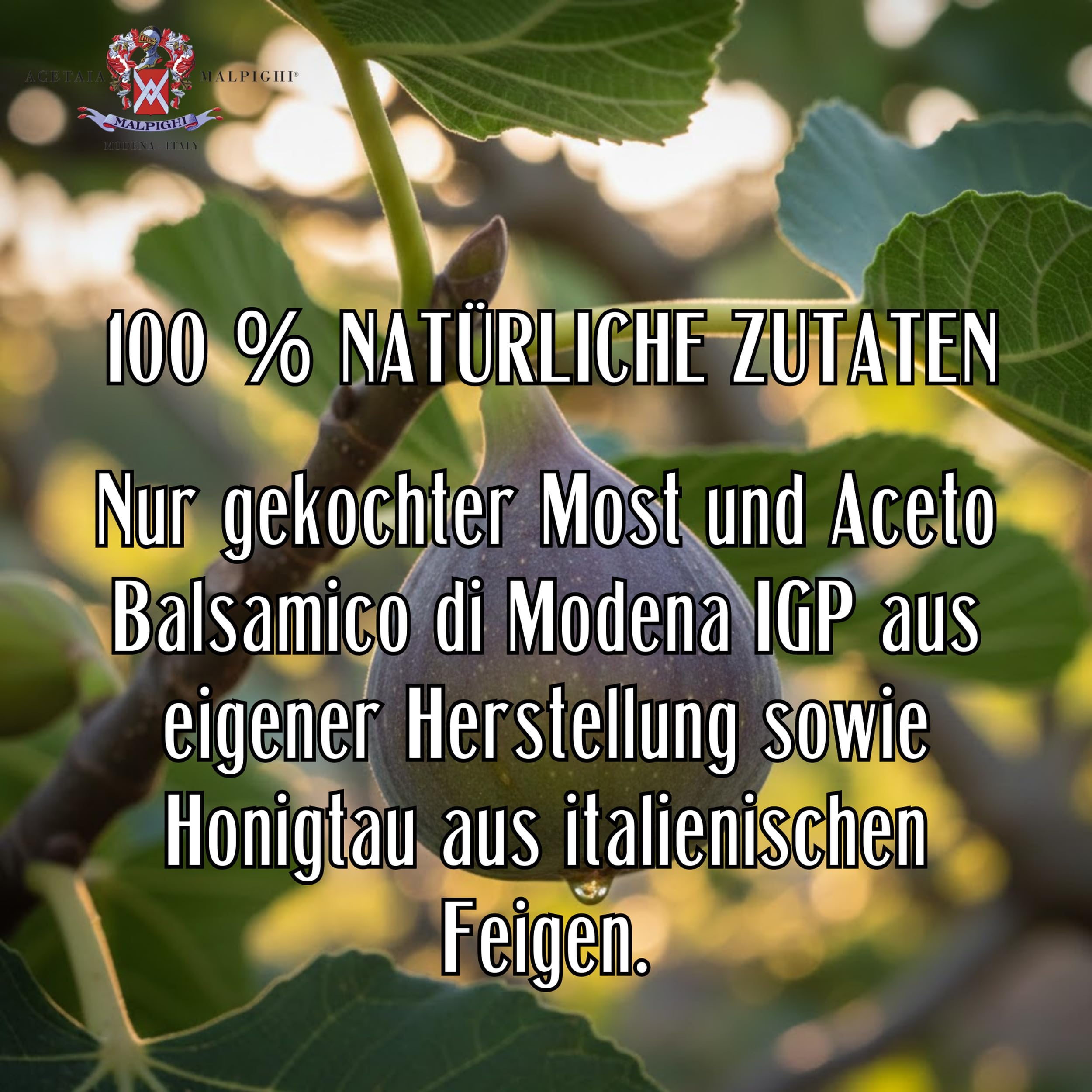 acetaia-malpighi-feigen-dressing-balsamico-igp-100-ml image 4