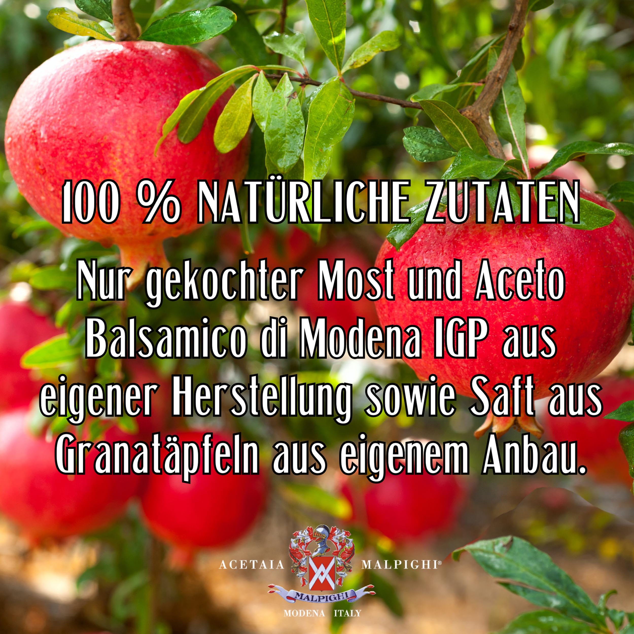 acetaia-malpighi-granatapfel-dressing-balsamico-igp-100-ml image 4