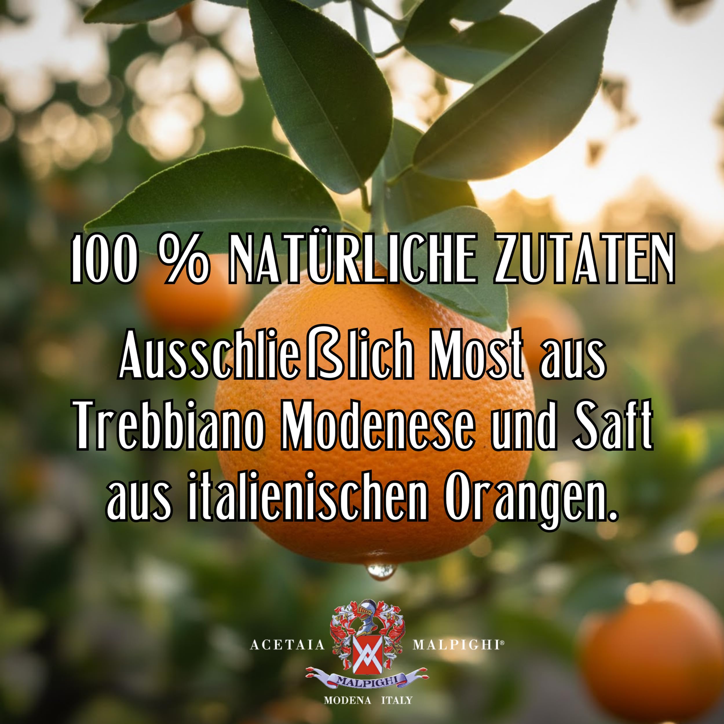 acetaia-malpighi-orange-dressing-wei-100-ml-citrus image 4