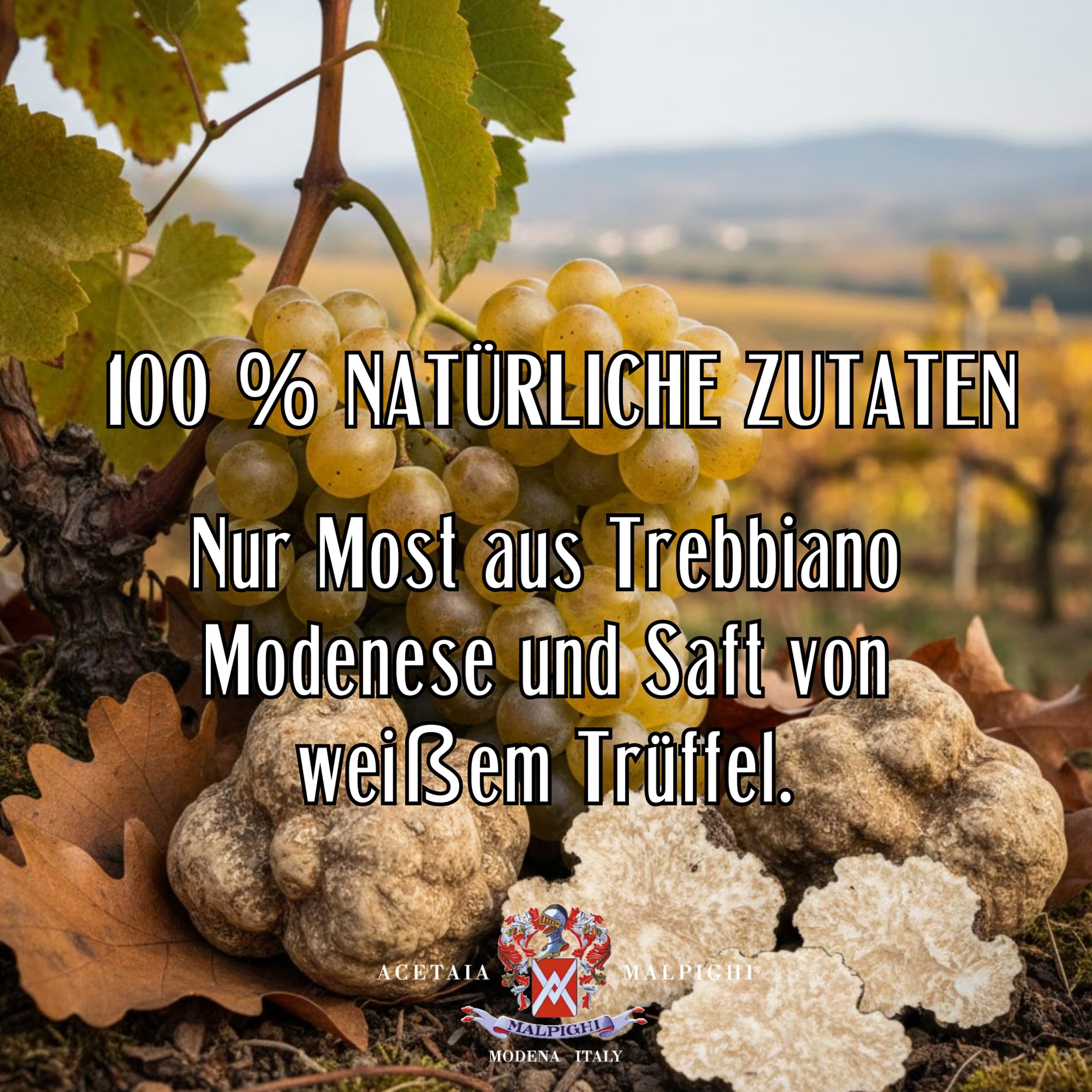 acetaia-malpighi-tr-ffel-dressing-wei-100-ml-nat-rlich image 5