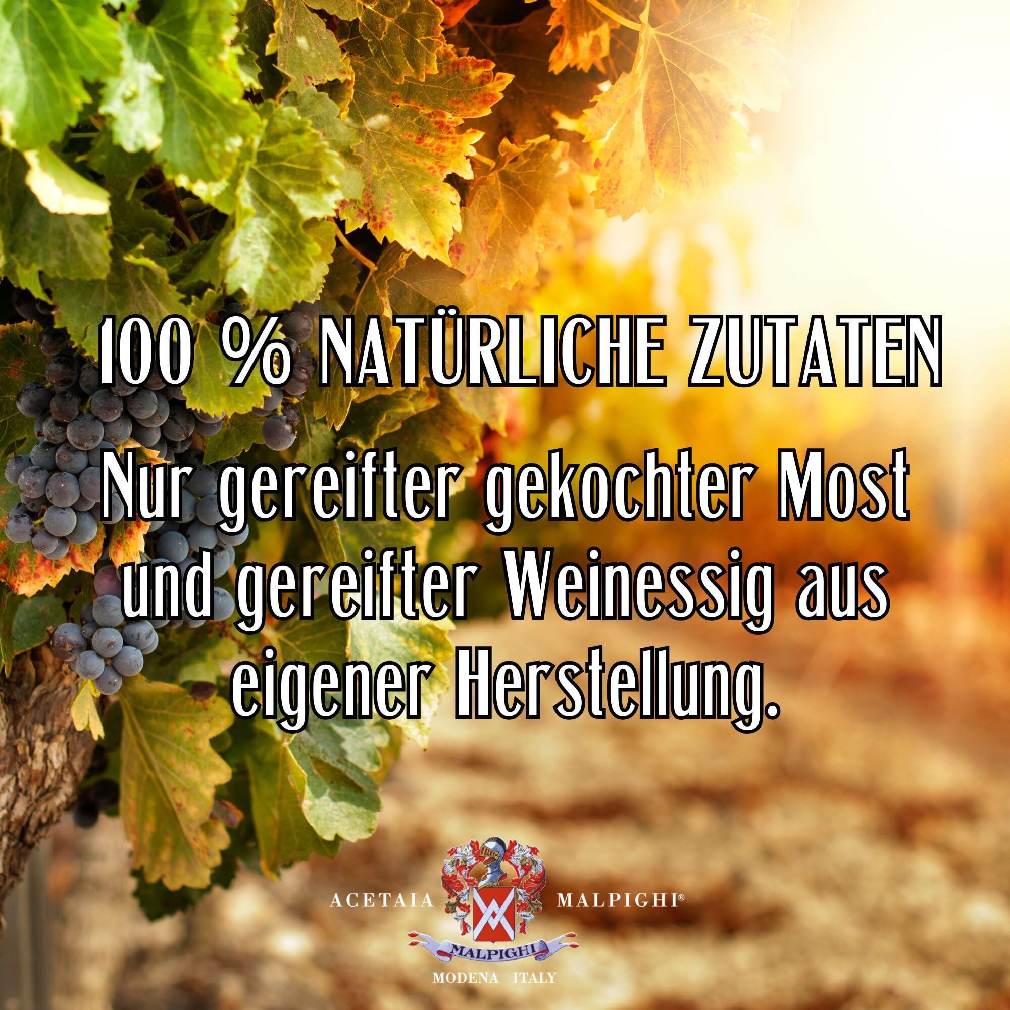 acetaia-malpighi-bronzo-balsamico-essig-igp-250-ml-natur image 5