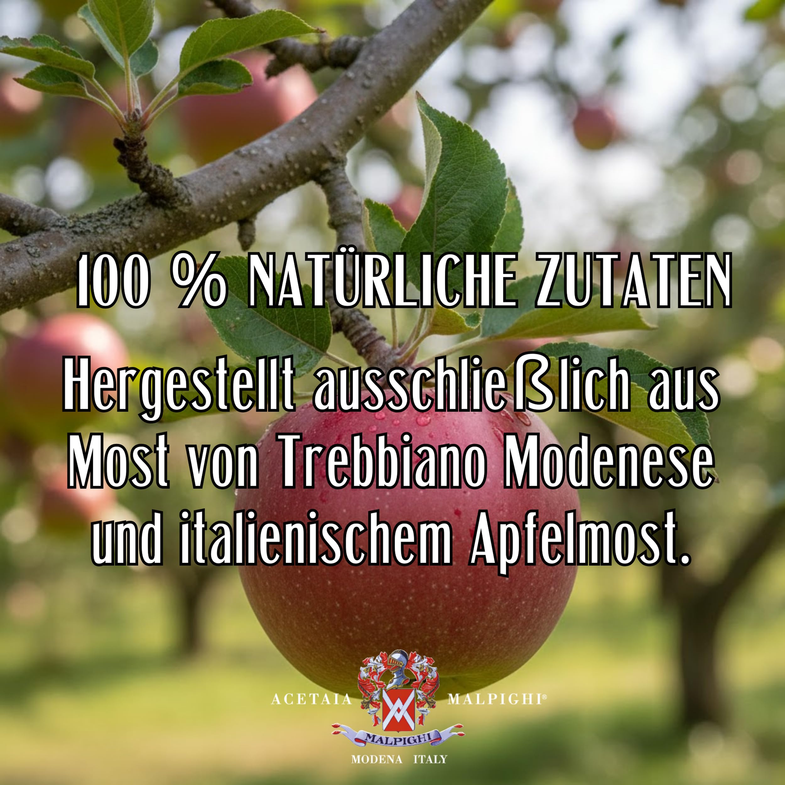 acetaia-malpighi-flavoured-apfel-dressing-100-ml-eschenfass image 7