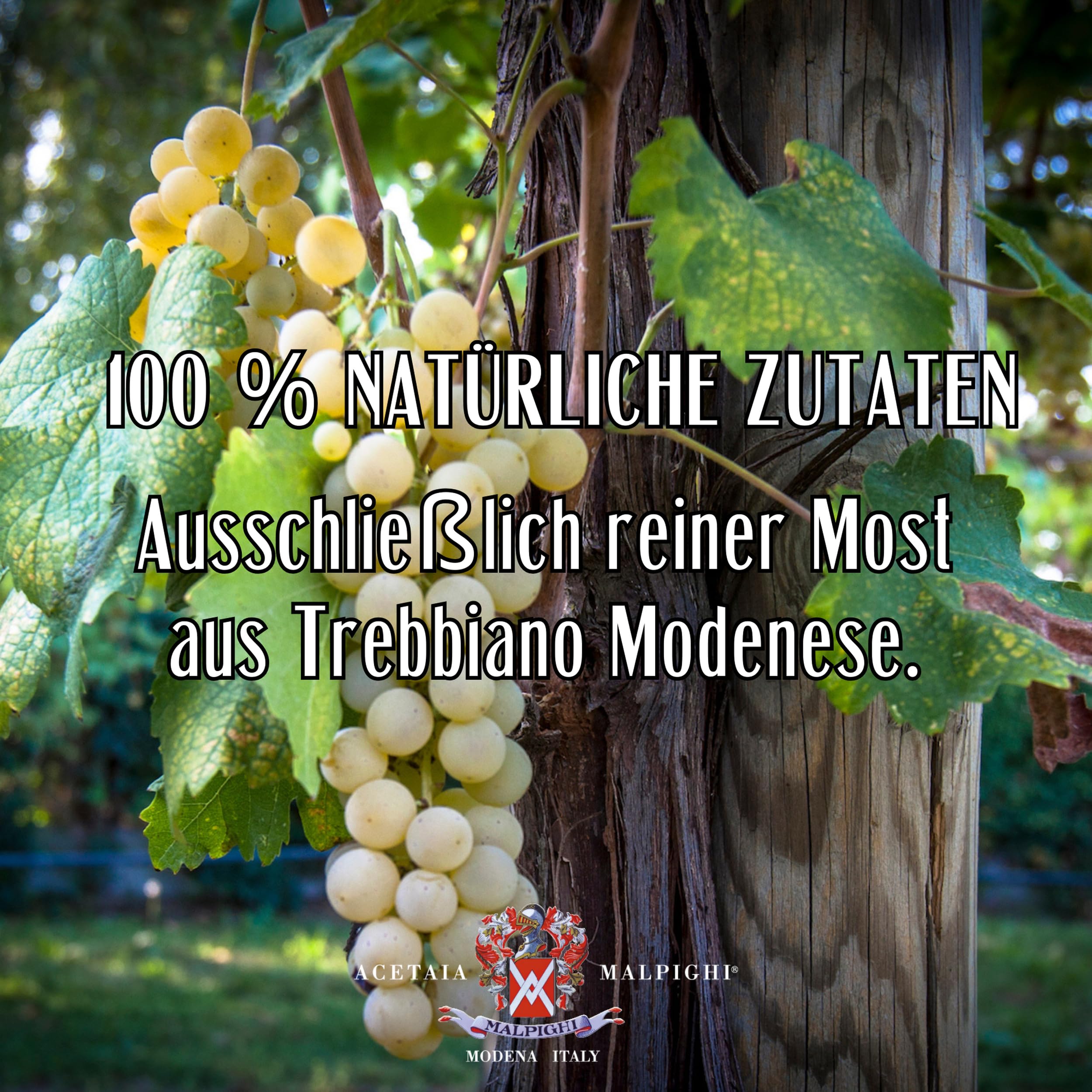 acetaia-malpighi-acino-bianco-wei-er-essig-100-ml-trebbiano image 5